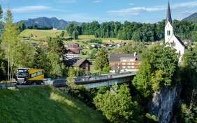 Noerpel LKW in der Natur
